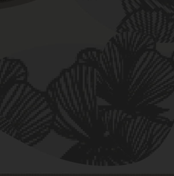 Beaucoup Nursing Bra