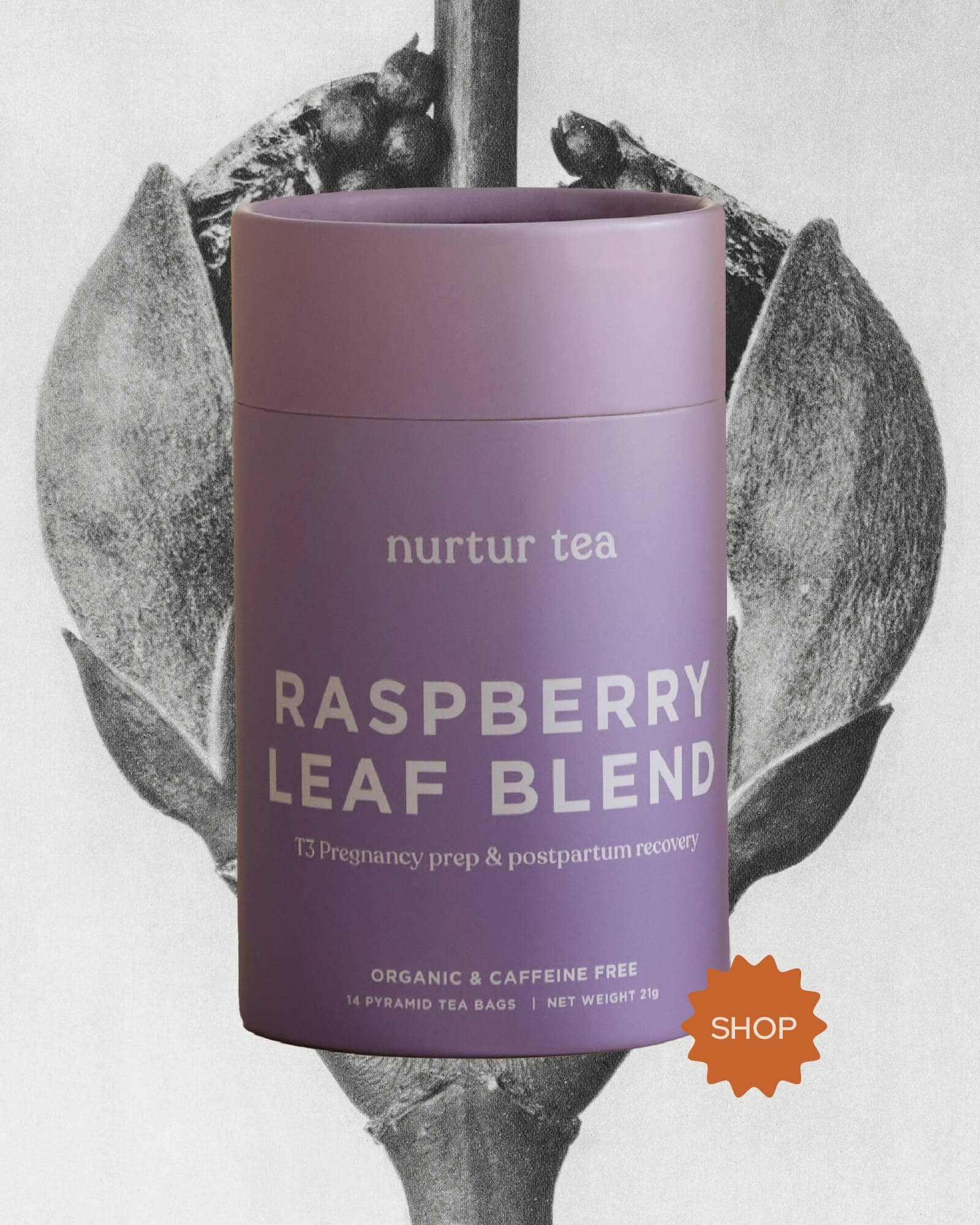 Red Raspberry Leaf Tea
